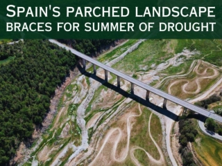 Spain's parched landscape braces for summer of drought