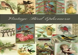 Download Book [PDF] Vintage Bird Ephemera: A Beautiful Collection for Junk Journ
