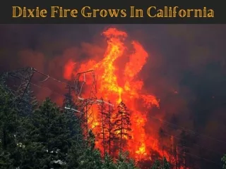 Dixie fire grows in California