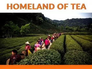 China, Homeland of Tea Canister