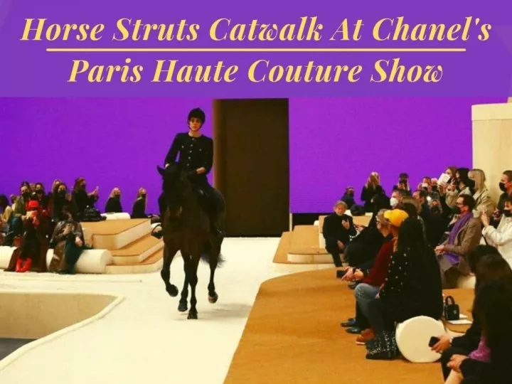 horse struts catwalk at chanel s paris haute couture show