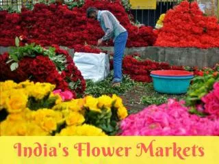 India's flower markets