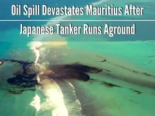 Oil spill devastates Mauritius after Japanese tanker runs aground