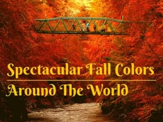 Spectacular fall colors around the world