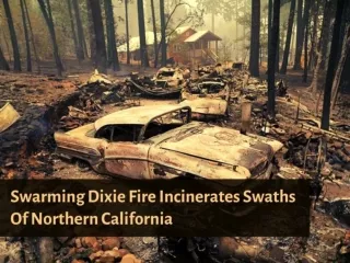 Swarming Dixie Fire incinerates swaths of northern California