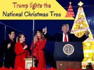 Donald Trump and Melania light the National Christmas tree