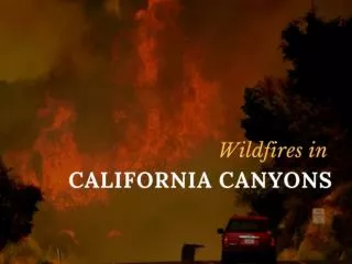 Wildfire in California canyons spreads overnight